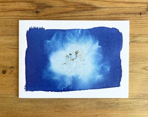 'Camelia' Botanical Blue Greetings Card