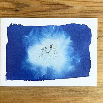 Botanische blaue Grußkarte „Camelia“.