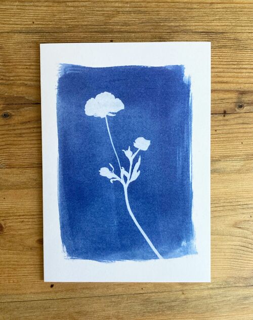 'Buttercup' Botanical Blue Greetings Card