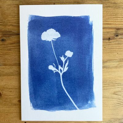 'Buttercup' Botanical Blue Greetings Card