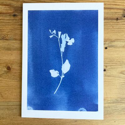 Botanische blaue Grußkarte „Bleeding Heart“.