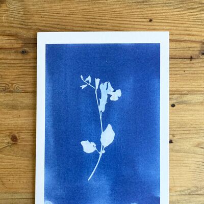 Botanische blaue Grußkarte „Bleeding Heart“.
