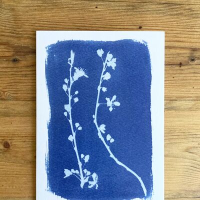 Botanische blaue Grußkarte „Blackthorn Blossom“.
