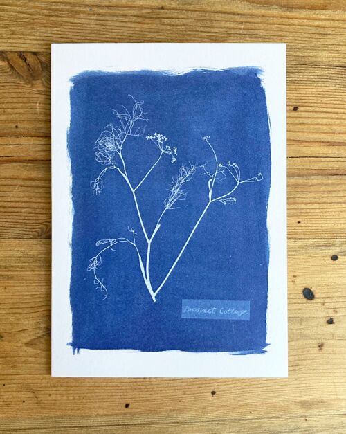 'Fennel' Derek Jarman Botanical Blue Greetings Card