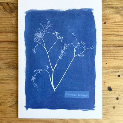 'Fennel' Derek Jarman Botanical Blue Tarjetas de felicitación