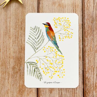 European bee-eater card - with envelope