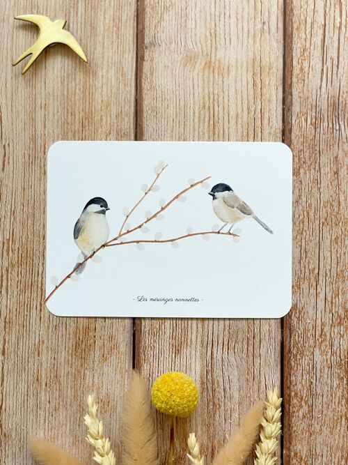 Carte postale duo de mésanges nonnettes - avec enveloppe