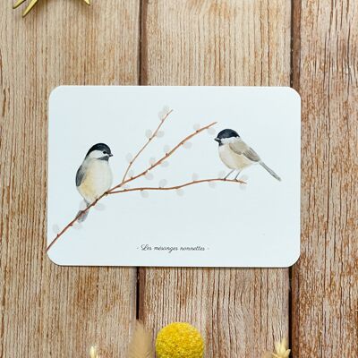 Carte postale duo de mésanges nonnettes - avec enveloppe