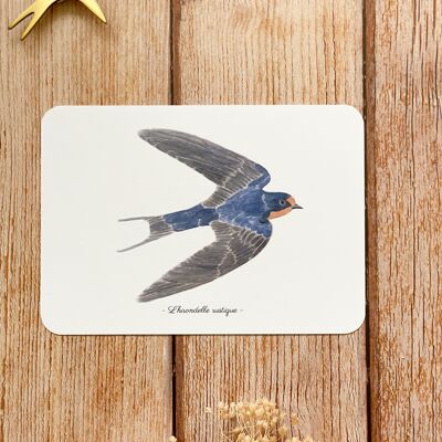 Barn swallow postcard - with envelope