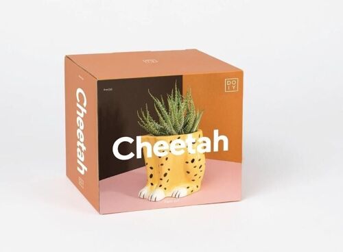 Urban Jungle, Cheetah Plant Pot