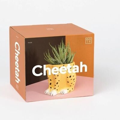 Urban Jungle, Cheetah Plant Pot