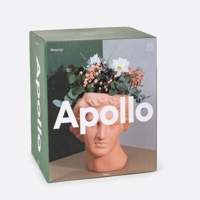 Vase Apollon, Terre Cuite