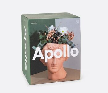 Vase Apollon, Terre Cuite