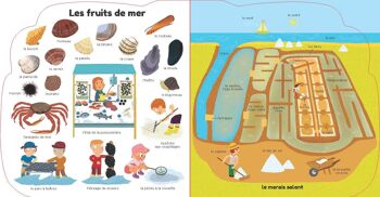 Livre documentaire - La mer - Collection « Mes contes en forme » 4