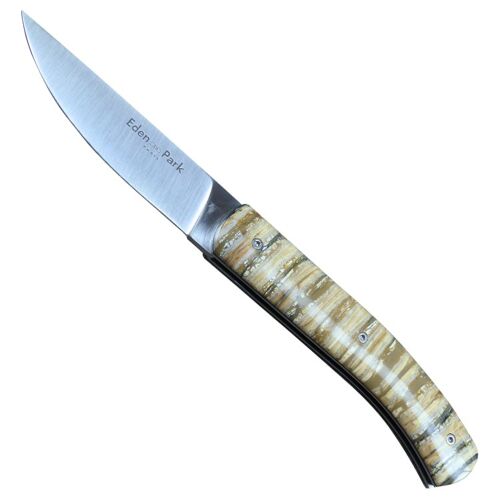 Couteau Molaire de Mammouth Manche Beige – Eden Park x Ovalie Original