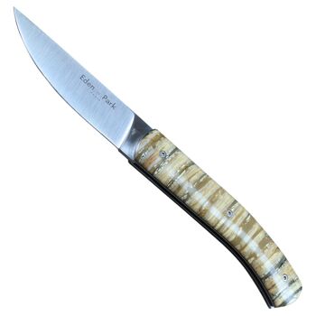 Couteau Molaire de Mammouth Manche Beige – Eden Park x Ovalie Original 1