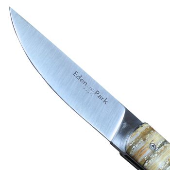 Couteau Molaire de Mammouth Manche Beige – Eden Park x Ovalie Original 3