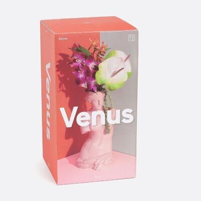 Vase Vénus - Rose