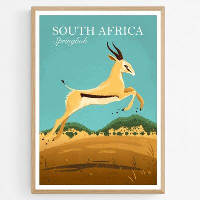 Poster Springbok in Zuid-Afrika