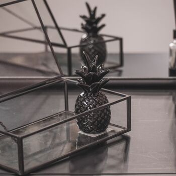 HV Ananas Noir - 5x5x11 cm 6