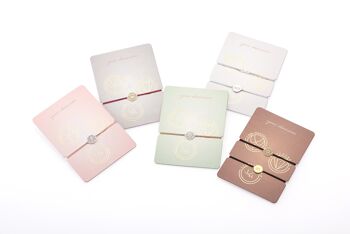 Coffret de présentation avec 12 bracelets individuels et 8 bracelets de l'amitié 2