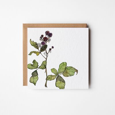 Bramble-Grußkarte – Sechserpaket