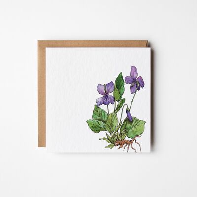 Violette Grußkarte – Sechserpaket