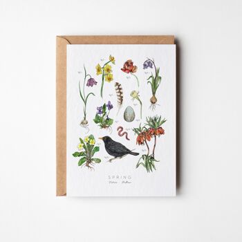 Carte de vœux Herbier de printemps - Paquet de six 1