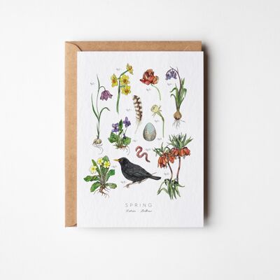 Carte de vœux Herbier de printemps - Paquet de six