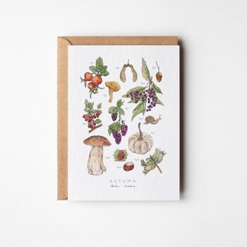 Carte de vœux Herbier d'automne - Paquet de six 1
