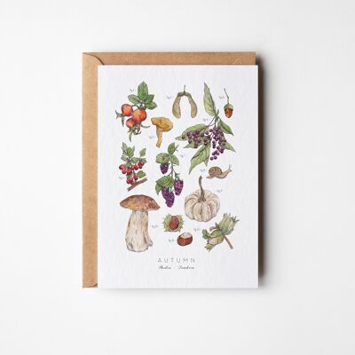 Tarjeta de felicitación del herbario de otoño - Paquete de seis