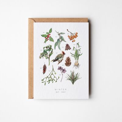 Carte de vœux Herbier d'hiver - Paquet de six