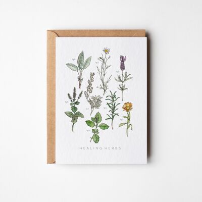 Tarjeta de felicitación del herbario de hierbas curativas - paquete de seis
