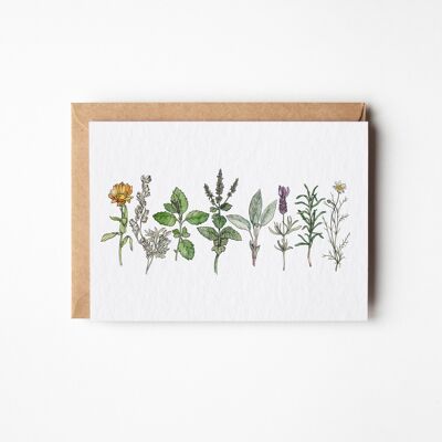 Heilkräuter Herbarium (Landschaft) Grußkarte – Sechser-Set