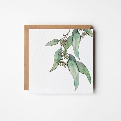 Eucalyptus Greeting Card - Bundle of Six