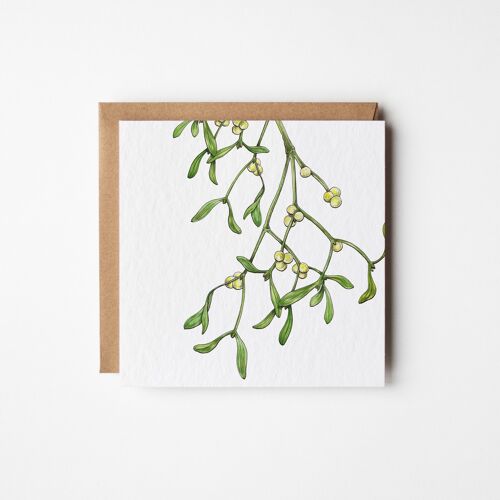 Mistletoe Greeting Card - Bundle of Six