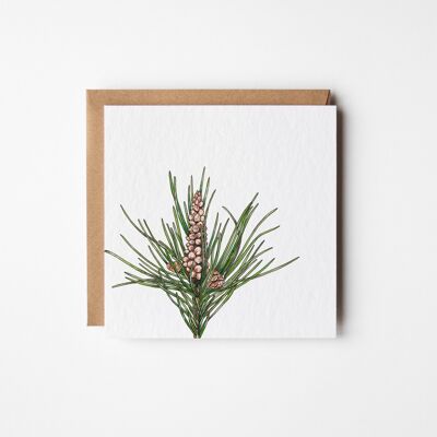 Pine Greeting Card - Bundle of Six