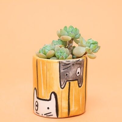 Kleiner handgemachter senffarbener Katzen-Übertopf aus Keramik: Lois and Lis Collection