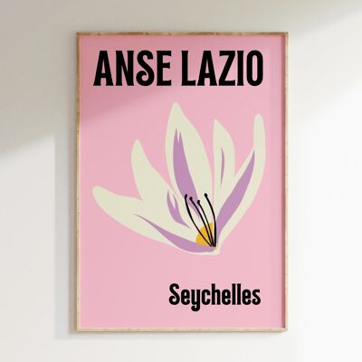 Stampa ANSE LAZIO