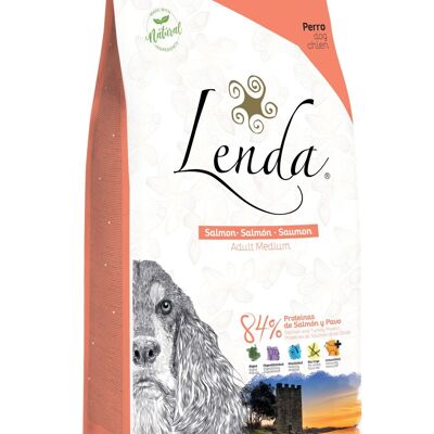 Dry Dog Food Lenda Salmon 12 kg