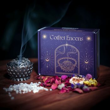 Coffret Encens Oliban Naturel – 100g d'Encens Boswellia Serrata, Encensoir et Pince en Acier Inoxydable – Idéal pour la Purification & Méditation (Encens Oliban 100g) 1