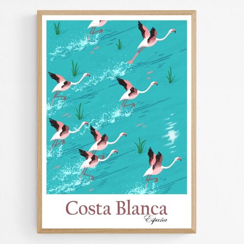 Poster Flamingo's in Costa Blanca, Spanje
