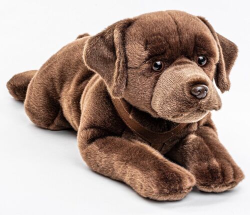 Labrador, liegend, mit Geschirr (braun) - 60 cm (Länge) - Keywords: Hund, Haustier, Plüsch, Plüschtier, Stofftier, Kuscheltier