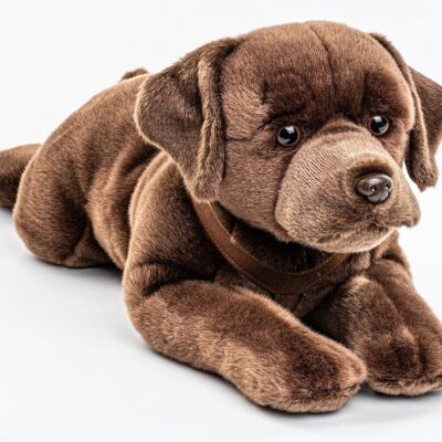 Labrador, lying, with harness (brown) - 60 cm (length) - Keywords: dog, pet, plush, plush toy, stuffed animal, cuddly toy