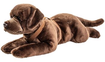 Labrador, couché, avec harnais (marron) - 60 cm (longueur) - Mots clés : chien, animal de compagnie, peluche, peluche, peluche, peluche 3