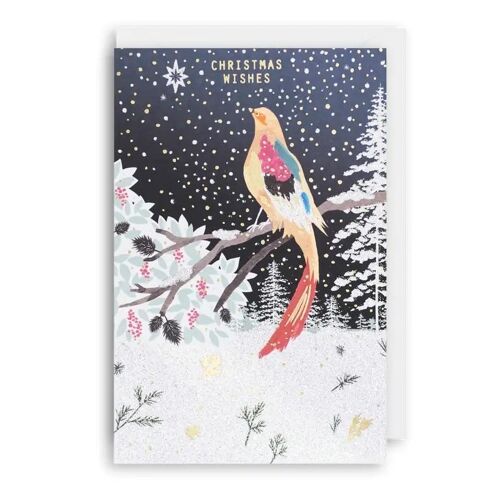 GOLDEN PHEASANT Christmas Card