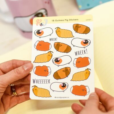 A6 Guinea Pig Breed Kiss Cut Stickers