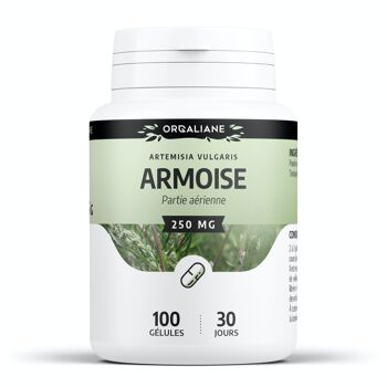 Armoise - 250 mg - 100 gélules 1