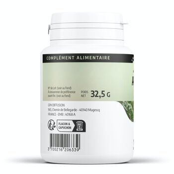 Armoise - 250 mg - 100 gélules 2