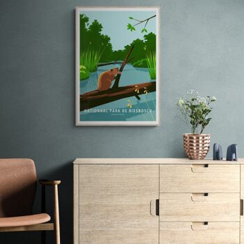 Poster Castor dans le Parc National de Biesbosch 2